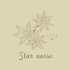 Anise sketch illustration in vintage style. Star anise, spice with grains.