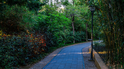 Park Lane at dusk
