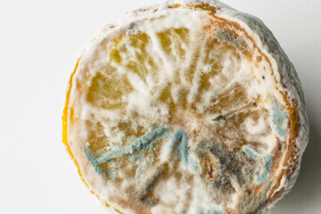moldy lemon, half lemon with mold on white background