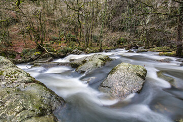 Rivière au cœur de La Fosse Arthour (Normandie, France)