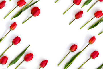 Red tulips on white background with space for text. Top view, flat lay