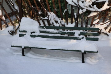Fresh snow in winter in Germany