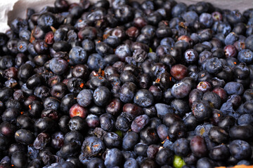 Fondo y texturas capulín fruta morada típica de México