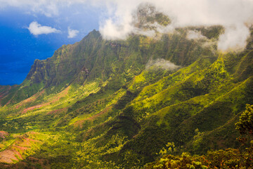Fototapeta premium The Kalalau Valley and the Na Pali Coast, photographed from the Pihea Trail in Kokee State Park, on the Hawaiian island of Kauai, USA