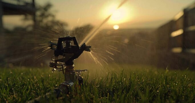 Close up, sprinkler in yard at sunset