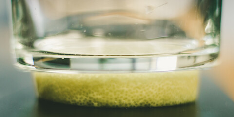 artistic lemon slice