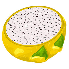 Fresh half cut yellow pitaya fruits isolated on white background. Summer fruits for healthy lifestyle. Organic fruit. Cartoon style. Vector illustration for any design.