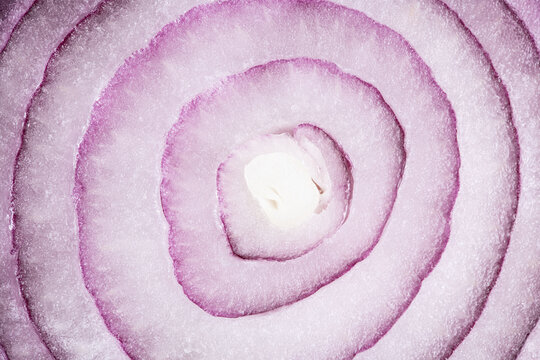  texture red onion. Slices of red onion close-up