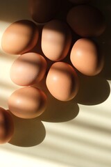 Brown eggs on a light background. View from the top.