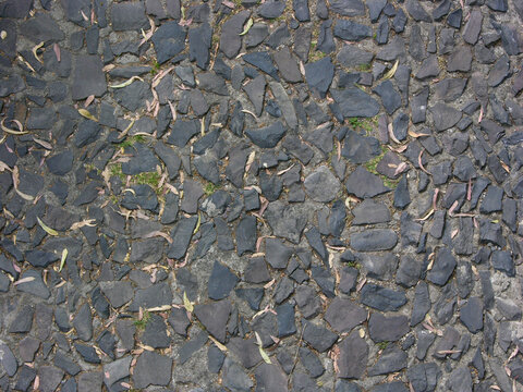 Fondo y textura natural de piso con piedras y hojas secas