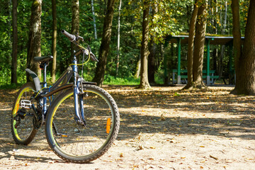 Fototapeta na wymiar bicycle in the sun in the forest