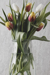 Tulips flowers bouquet in a glass vase jar on table cloth. Bright light.