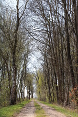 Hiking in northern Germany in winter time / Wander in Norddeutschland im Winter