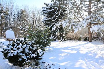Snow-covered garden in winter, Germany