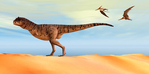 Carnotaurus sastrei Dinosaur - Pteranodon flying reptiles follow a Carnotaurus theropod dinosaur on the hunt for his next prey during the Cretaceous Period. © Catmando