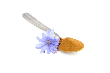 Chicory root powder in spoon and blue flower isolated on white background