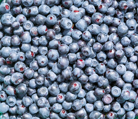 Blueberries fruit.