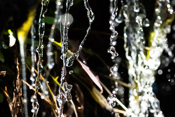 Obraz na płótnie Canvas Drops of Splashing Water Raining Down on the Autumn Vegetation