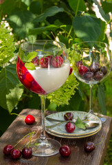 Panna cotta Italian traditional dessert with cherries. Portion dessert in wine glass on green...