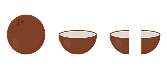 Coconut icon in cartoon style. Whole, half and fourth part of coconut. Tropical fruit. Vector