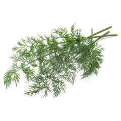 Fototapeta premium Close up shot of branch of fresh green dill herb leaves isolated on white background