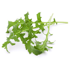 Fototapeta premium Close up studio shot of green fresh rucola leaves isolated on white background. Rocket salad or arugula.