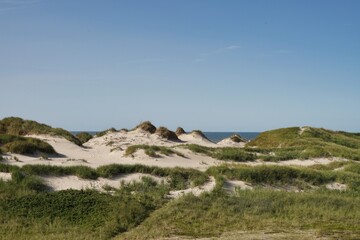 Fototapeta na wymiar dunes near Houvig, Jutland, Denmark,