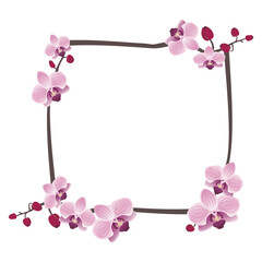 Cute orchids frame