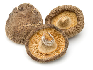 Dried Shiitake Mushroom isolated on white background