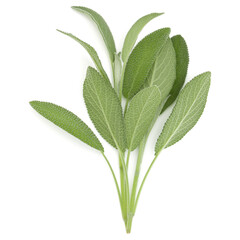 Sage herb leaves  bouquet isolated on white background cutout. Top view.