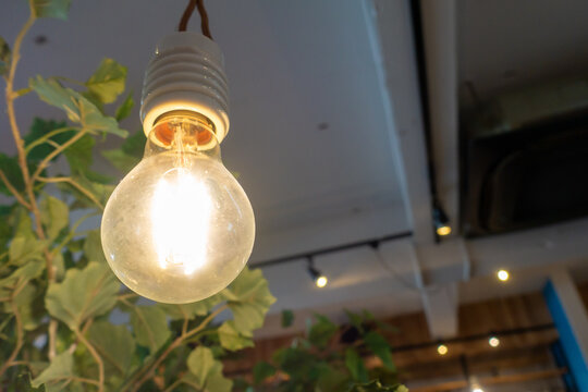 豆電球 Photos Royalty Free Images Graphics Vectors Videos Adobe Stock