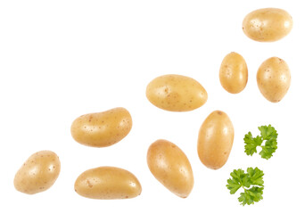 Potatoes and parsley isolated on white background with copy space for your text. Top view. Flat lay pattern. Potatoes in air, without shadow.