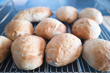 Freshly made crusty bread rolls cooling on a wire oven rack. Shallow focus