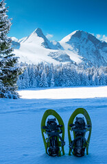 Green snowshoes in the snow in a winter landscape under high mountains