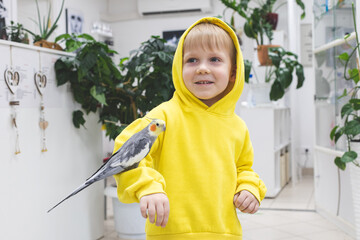 Child kid boy in bright yellow hooded sweatshirt, modern casual laughs sitting on his hand gray...