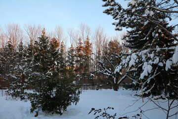 Fresh snow in winter in Germany
