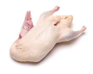 Raw goose isolated on white background  © zcy