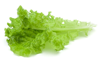 fresh green lettuce salad leaves isolated on white background - obrazy, fototapety, plakaty