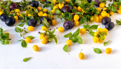 Bright autumnal composition of yellow and blue plums , an apple on a white background.Mockup for...