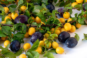 Bright autumnal composition of yellow and blue plums , an apple on a white background.Mockup for autumn offers. Selective focus.