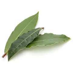 Obraz premium Aromatic bay leaves