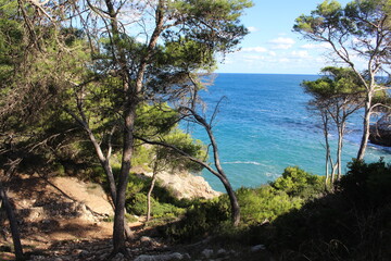 Obraz premium Palma de Mallorca