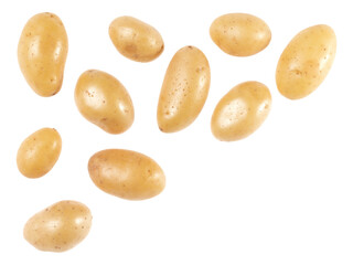 Potato isolated on white background with copy space for your text. Top view. Flat lay pattern. Potatoes in air, without shadow.