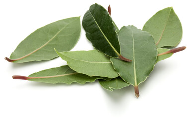 Obraz premium Aromatic bay leaves