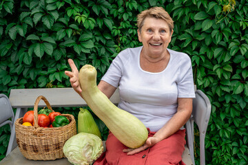 a woman of retirement age holds vegetables from garden big zucchini in summer in sunny weather and smiles