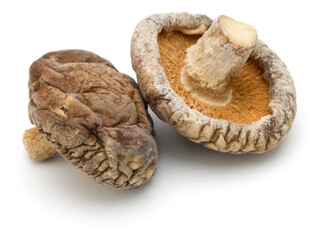 Dried Shiitake Mushroom isolated on white background