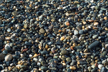 Multicolored pebble stones on the beach. Horizontal photo - background