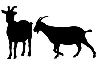 Goats in the set. Vector image.