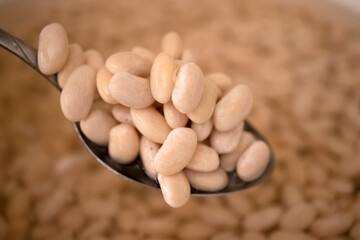 
Dry beans soaked in water and provided to soften. Inside the spoon are dried beans waiting in the water in the background.