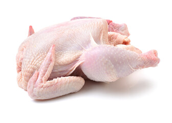 raw hen on a white background